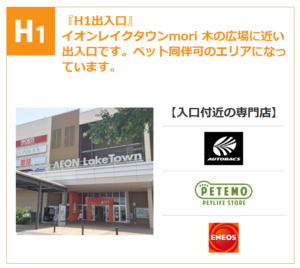 イオンレイクタウンmoriH1出入り口