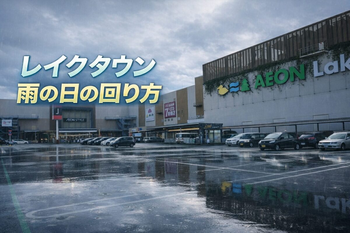 雨の日のレイクタウン駐車場とイオンレイクタウン外観