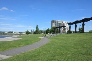 湖畔の公園と曲がる歩道の画像